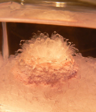 kryštalizácia - 3.deň